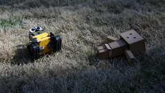 Wall-e grass danboard lying