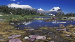 Wall Garden glacier national park ponds