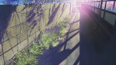 Wall Makoto Shinkai sunlight