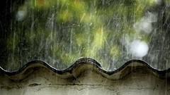 Wall rain