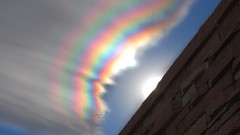 Wall sunlight brick wall blue skies