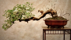 Wall text The stand that couldn notext