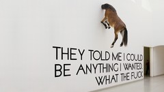 Wall text white Horses Typography funny WTF