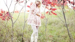 Wall woman lingerie brunettes models panties