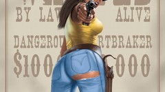 Wanted Cowboys illustrations artwork