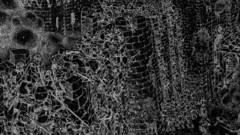 War black comics berserk