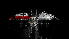 War Ensign of germany