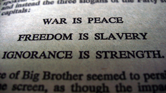 War freedom peace 1984