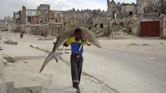 War ruins Sharks sandals