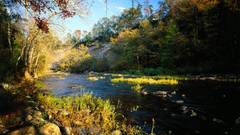 Warrior high county locust alabama Resolution blount