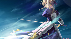 Warrior Swords Anime fate