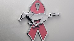 Warriors 2009 Ford mustang