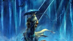 Warriors artwork video games fantasy art Darkstalkers