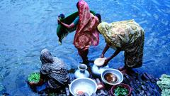 Washing utensils vegetables