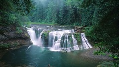 Washington falls rivers forests National