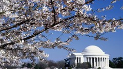 Washington jefferson memorial