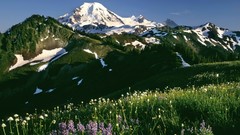 Washington mount forests National baker