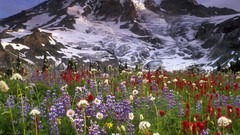 Washington mount national park