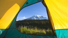 Washington national park Mount Rainier