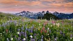 Washington Range mount national park
