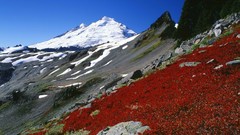 Washington waterfalls north mount baker