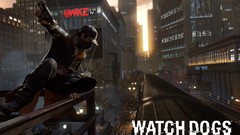 Watch dogs