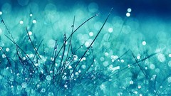 Water abstract blue grass