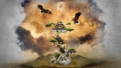 Water abstract clouds Trees