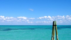 Water abstract logs reeves