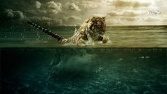Water abstract Tigers feline split-view leap