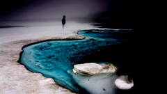 Water abstract waves Horses