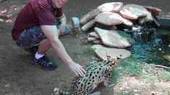 Water Animals Men rocks