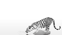 Water Animals Tigers ripples