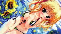 Water Anime cleavage bikini Uisaki Hinano