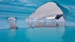 Water Antarctica icebergs graveyards