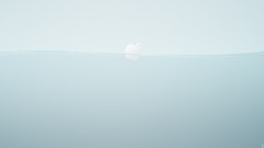 Water apple inc logos