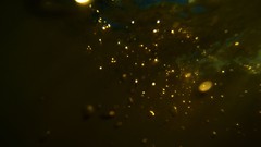 Water autumn bubbles underwater