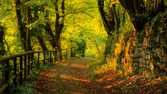 Water autumn contributing