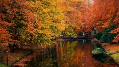 Water autumn forests