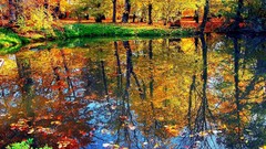 Water autumn reflections forests