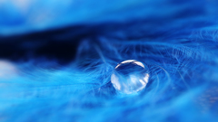 Water blue drop feathers