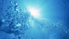 Water blue Hawaii underwater