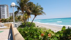 Water blue ocean Green Florida palm trees Beaches
