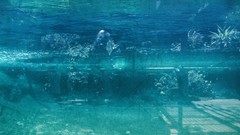 Water blue reflections Photo manipulation