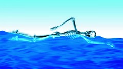 Water blue swimming skeletons