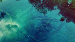 Water blue turtles psychedelic