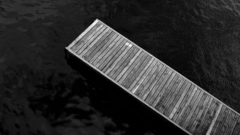 Water Bridges monochrome greyscale