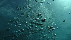 Water bubbles underwater