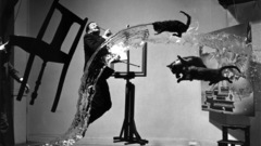 Water cats surrealism Salvador