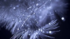 Water close-up circles water drops